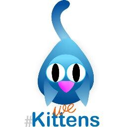 WeKittens's profile picture. 