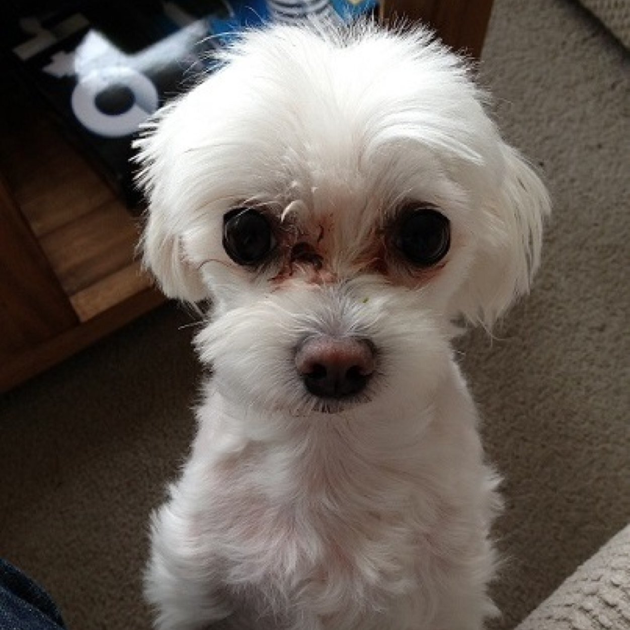 KEBinYGK's profile picture. 