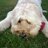 MarlaFeldman1's profile image