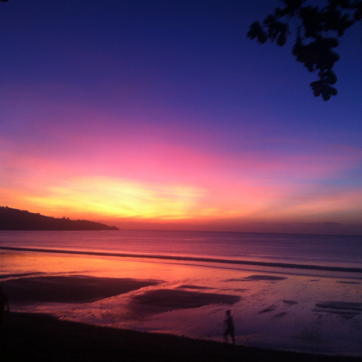 meaveo's profile picture. 