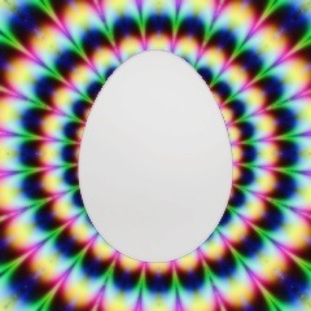 Free follow from @zarryfranta