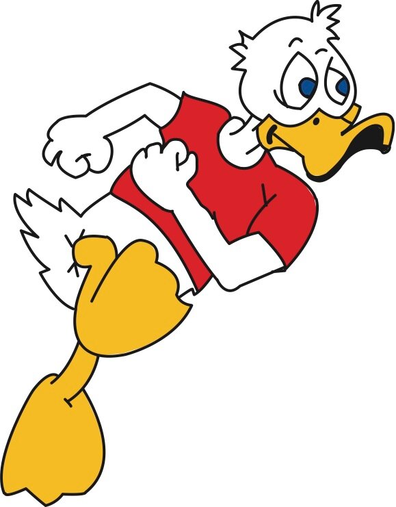 RacingDucks's profile picture. The Great American Duck Race. a unique experience for your special event, fair, or park.  Quality family entertainment.