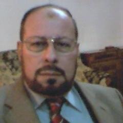 mostafaatifnoss's profile picture. 