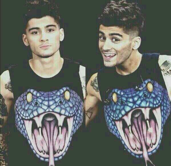 hey bby I just gave u a free follow so it would mean a lot if u could follow @tenderizayn and ask for a follow back ily :) x