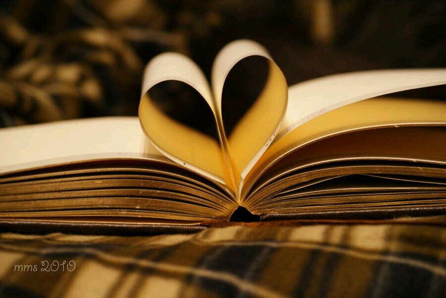 I just want to share my love of reading
