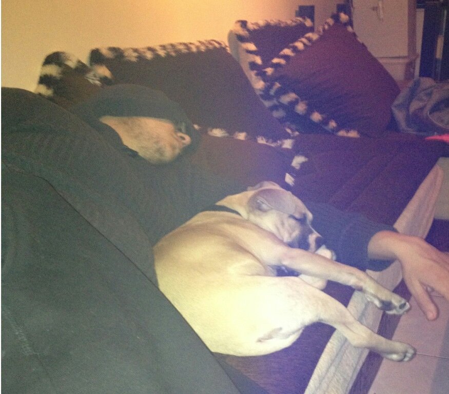 webgeekos's profile picture. ma gueule, mon chien, mon pc