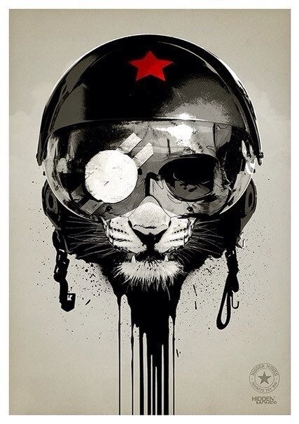 VVPatik's profile picture. Студент Государственного университета, юридический факультет, увлекаюсь всем интересным, люблю природу и животных.