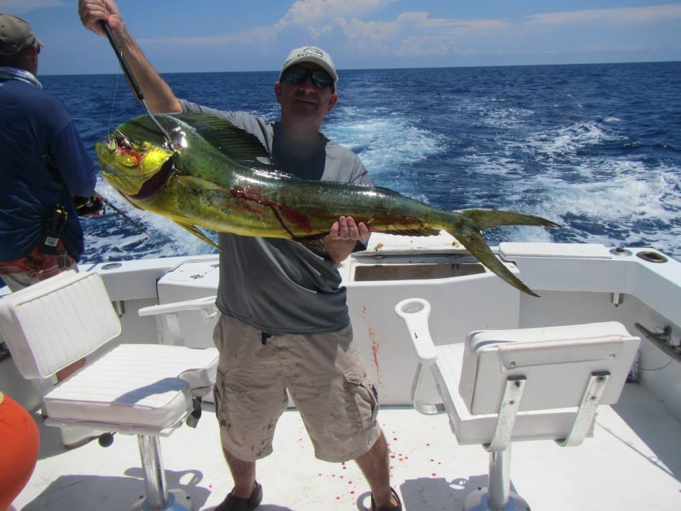 Banker, Father, Husband, loves cooking, gardening, boating, fishing & arts.