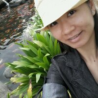 Wai Mun (Vincy)(@MunWml) 's Twitter Profile Photo