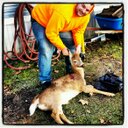 Chris cahall - @cnclandscapes - Twitter