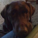 Jackie Hoyle - @Jackieh1980 - Twitter