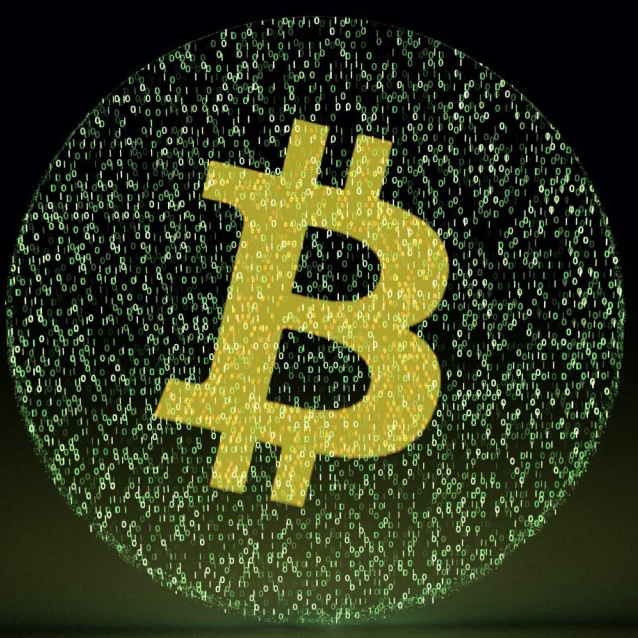 cryptobuddy's profile picture. 