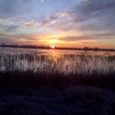 Bob Ring - @blring1943 - Twitter