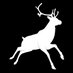 Buck Wild Studios (@buckwildstudios) Twitter profile photo