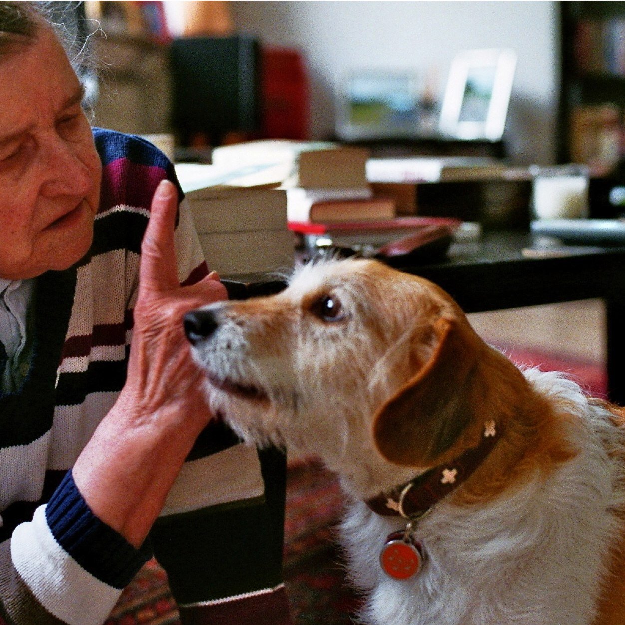 DAXderDog's profile picture. I like naps. Cats are stupid. I hate squirrels.