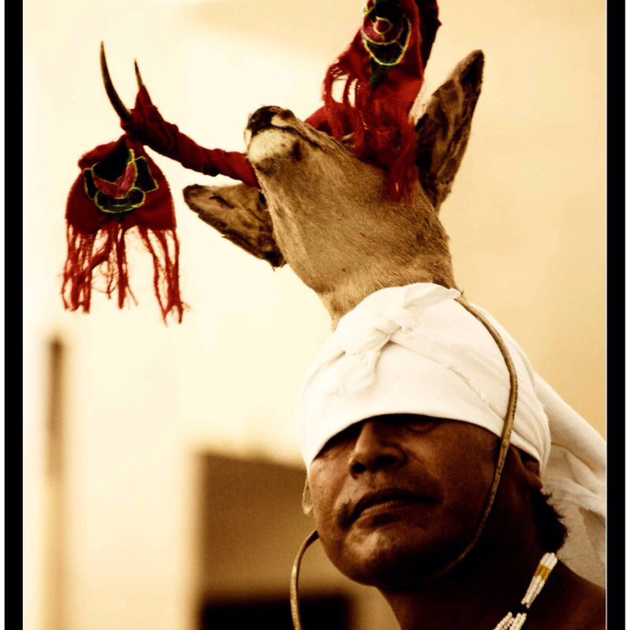 yaquis2's profile picture. 