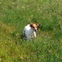 Becky Sutherland - @beckysuth - Twitter