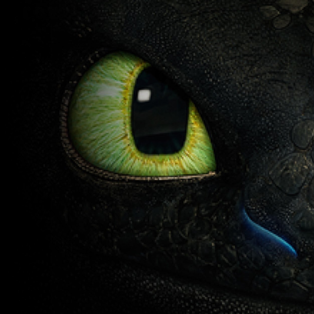 Official Twitter Account on How To Train Your Dragon! Find me on Instagram: @HTTYD