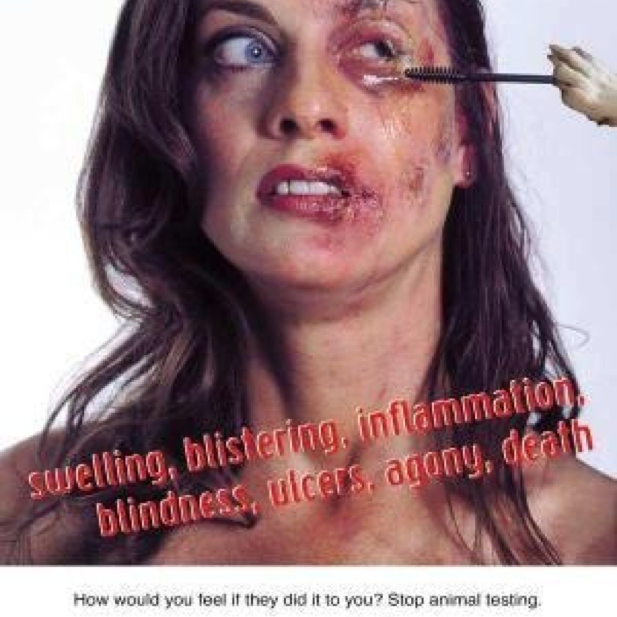 CosmeticTesting's profile picture. I made this acc to persuade people to stop using products that test on animals. Brands that DO test: http://t.co/ckNvJvB0OF