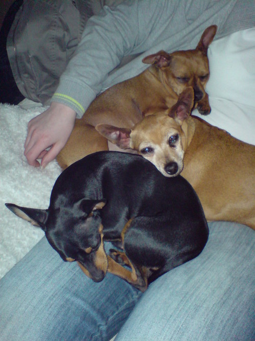 karenlyth's profile picture. 