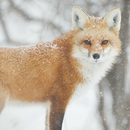 SwayedByHer's profile picture. 18+ Rp #DoF Twilight/The Otherworld