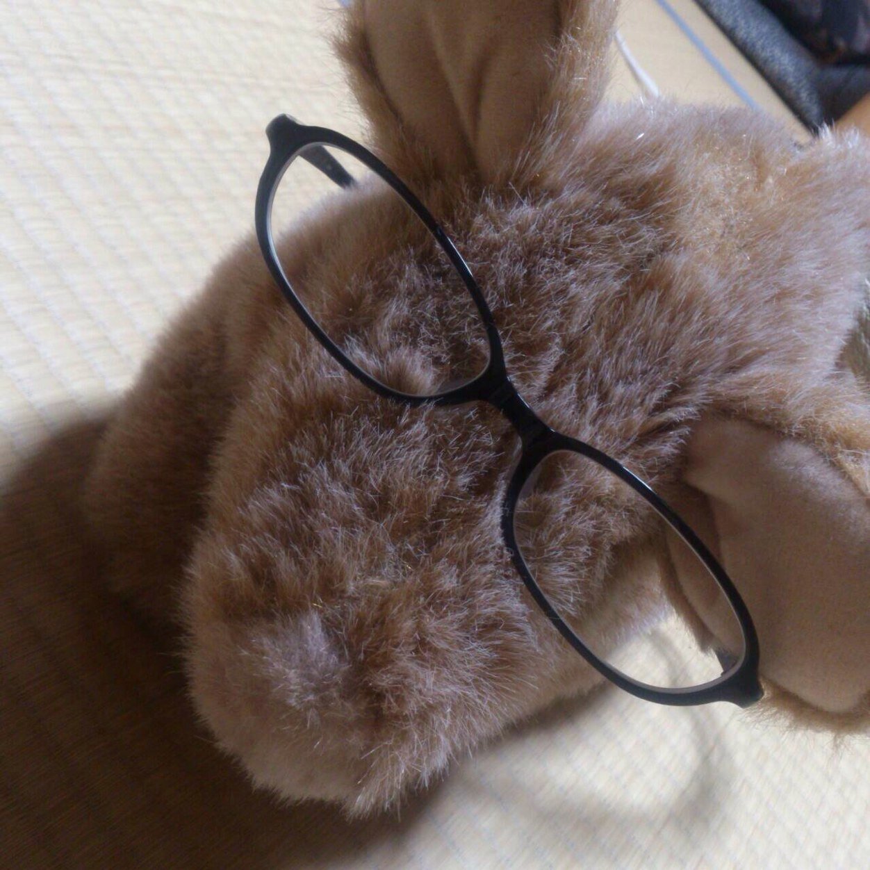 sense_of_revers's profile picture. Twitter上での一般的なプロフィールはおそらく「元祖SDの人」。収集癖はかなり強いのですが、場所の問題で引退気味です。最近影が薄くなって来ました。 模型もたまーに作ります。アクションゲームのワンクレクリアマラソンがマイブーム。