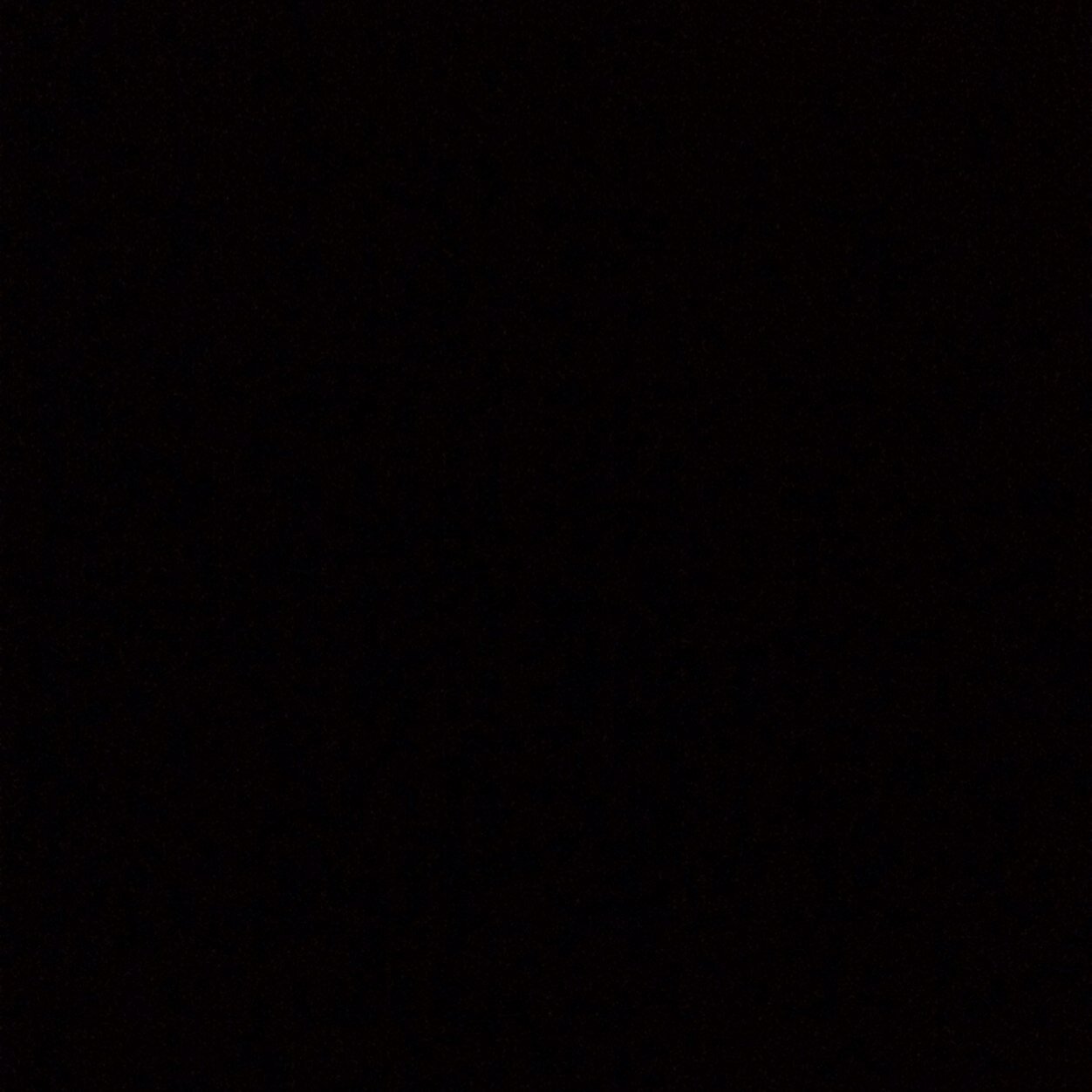 ryanlandi's profile picture. dont use this account

follow @thrashw4ng