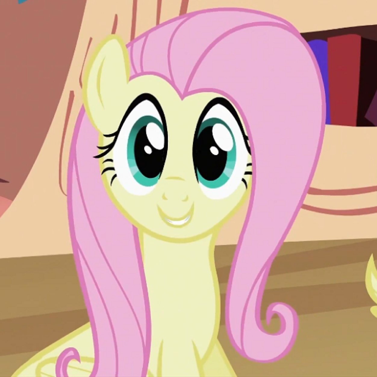 H-hello,im Fluttershy,I take care of my animals and im afraid to perfom in front of others.
(Element Of Kindness)