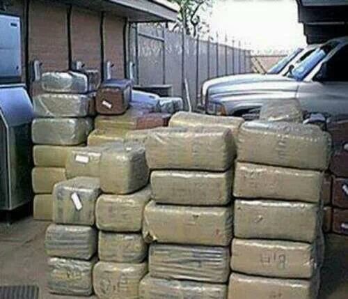 RaulRod79647497's profile picture. 