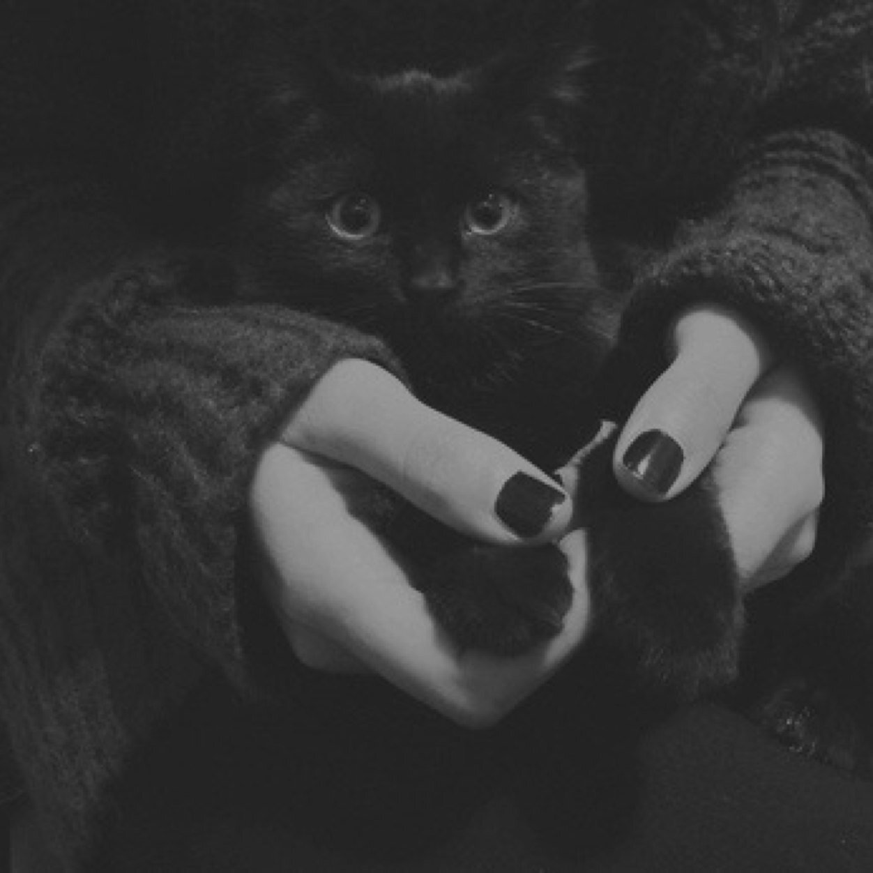 her_secrets86's profile picture. ♡Victoria's Secret♡ is my closet. I ᗩᒪᔕO ᒪOᐯE ♡ᒪųƙɛ ᗯıƖƖʂơŋ♡, one of the prettiest football players I've ever seen! Go Seahawks♡#82 -this account is private♡