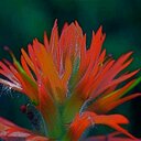 Eric Henderson - @wyomarketing - Twitter