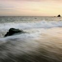 Denise Wiggins - @missmylilpup - Twitter