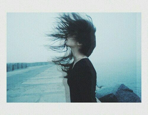 dshellvenoms's profile picture. 