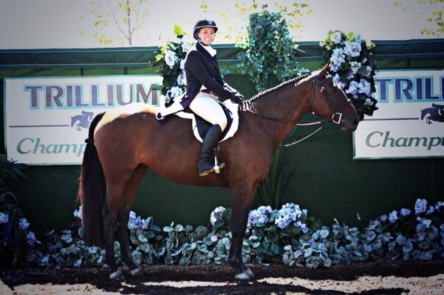 tashLfe's profile picture. Slave to a bay tb mare! *Bay Hunter Wolf Pack*