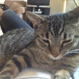 peacelovesnacks's profile picture. 