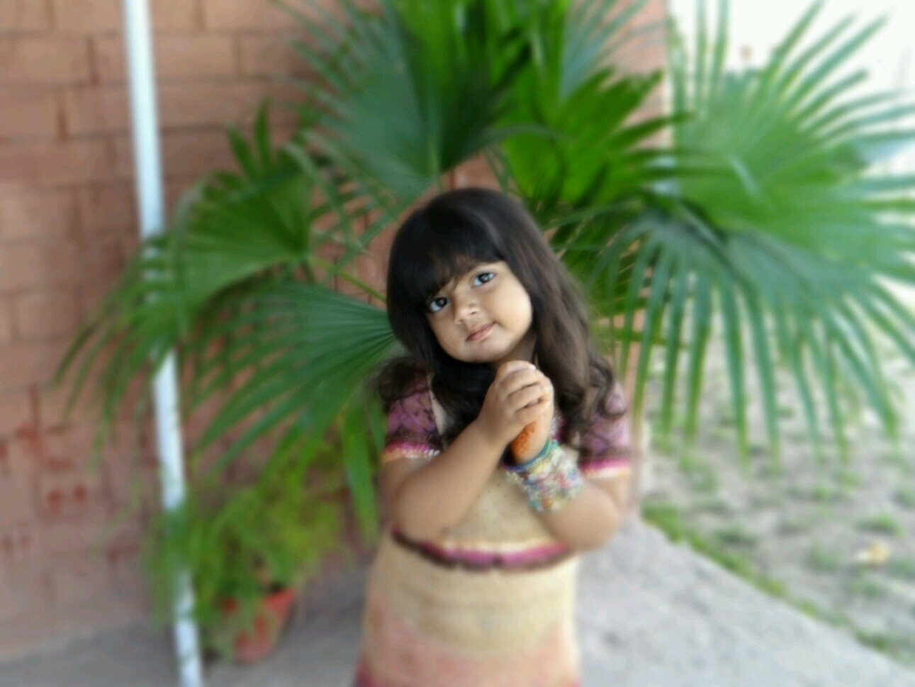 follow me I will follow back... ;)!!