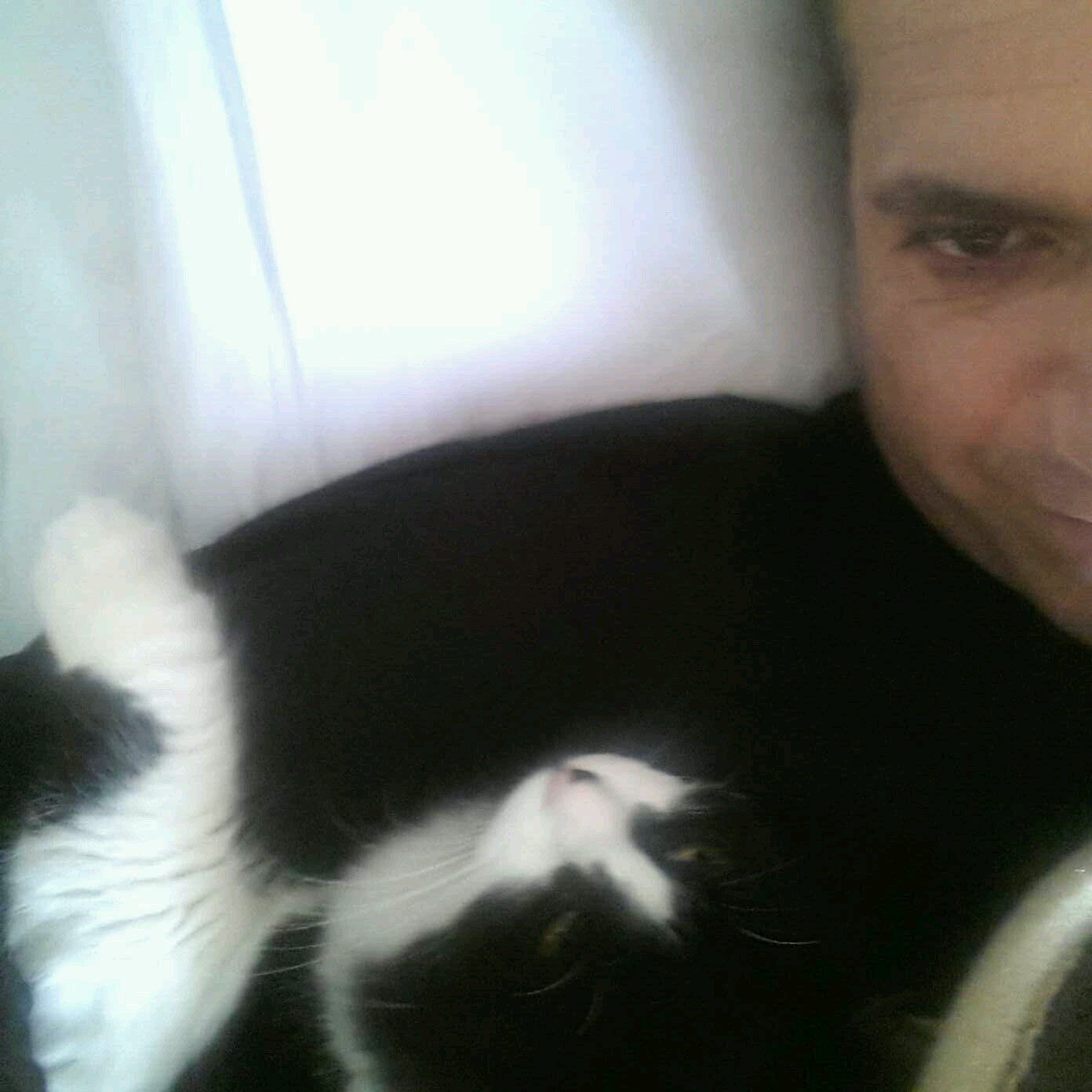 MKimyon's profile picture. 