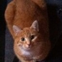 Tami Bourque - @BourqueTami - Twitter