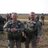 Profile Picture of Major Adam Terry (@@GlyminDanielKob) on Twitter