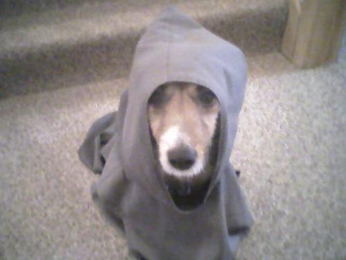 FrJohnMary's profile picture. I am a priest living the eremitical life according to Canon 603 who offers the Traditional Latin Mass (62 Missal).  You may send me prayer Intentions.