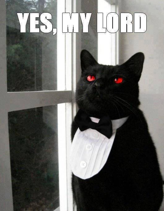 juanz1150's profile picture. 