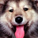 taylor snell - @taylorsnell5 - Twitter