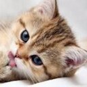 Ben Browne - @benb236 - Twitter