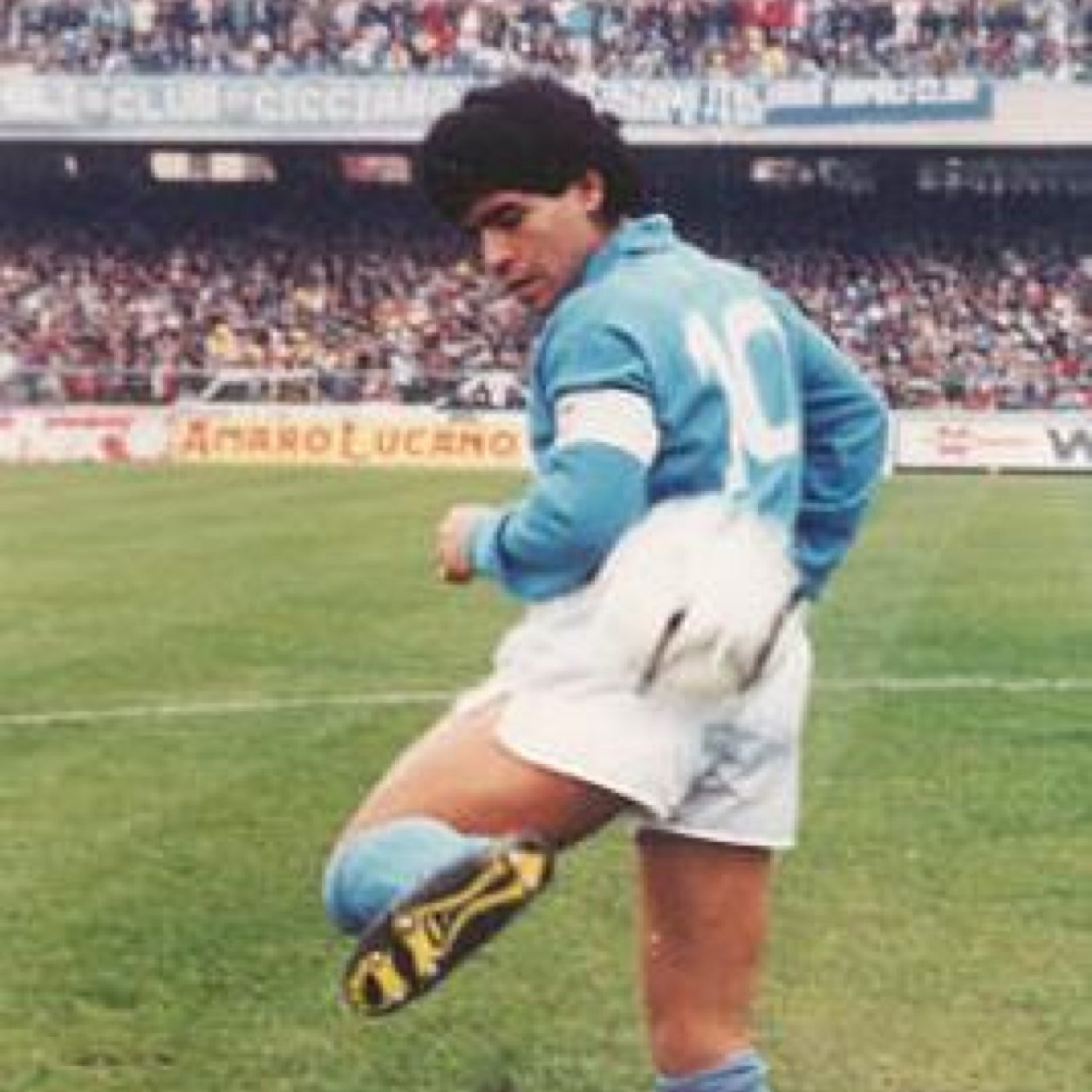 MarcotutorMarco's profile picture. 