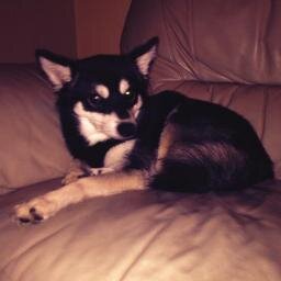 thuglokibu's profile picture. fuck bitches, get money