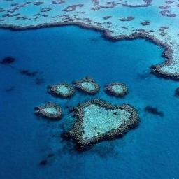 OpalGypsy's profile picture. 