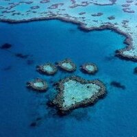 Julie C (@opalgypsy) 's Twitter Profile