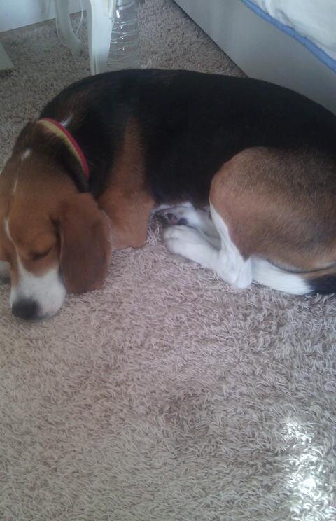 AsasaecEstevez's profile picture. 