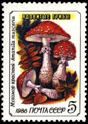 MyxoMopbI's profile picture. Играем в игры, иногда запойно),делаем видео и т.д.