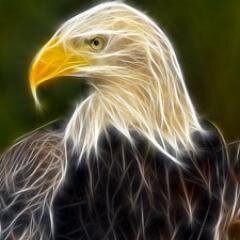 TATSOFT34's profile picture. Video and Audio Converters. Converters Free. Videocourses  http://t.co/jkPFw0ryU2